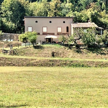 Villa Viola Lucca Exterior photo
