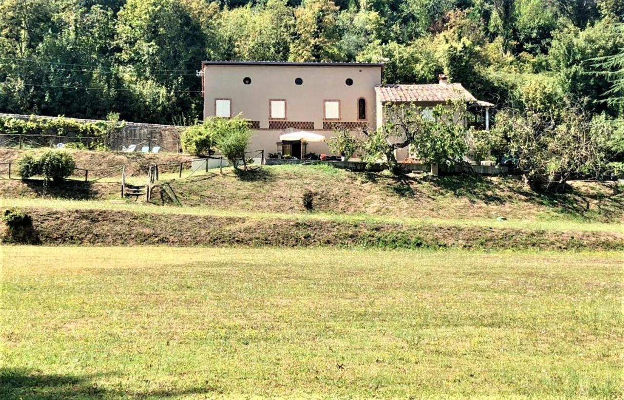 Villa Viola Lucca Exterior photo